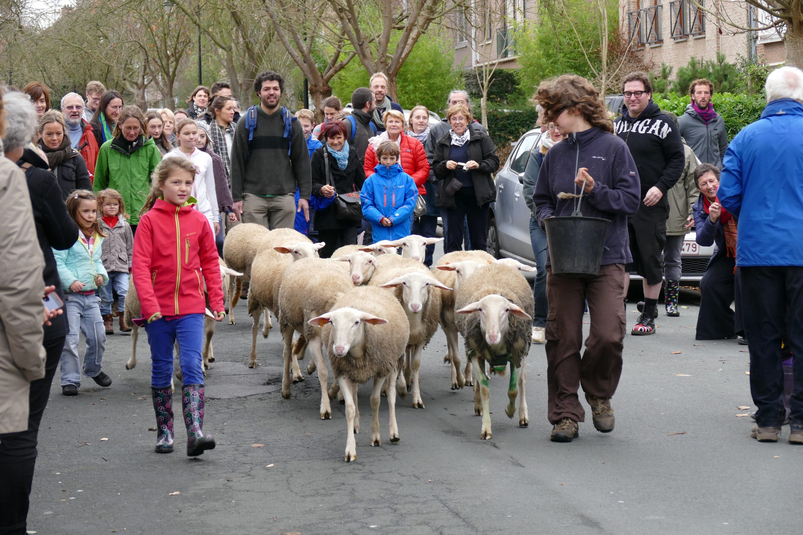 transhumance